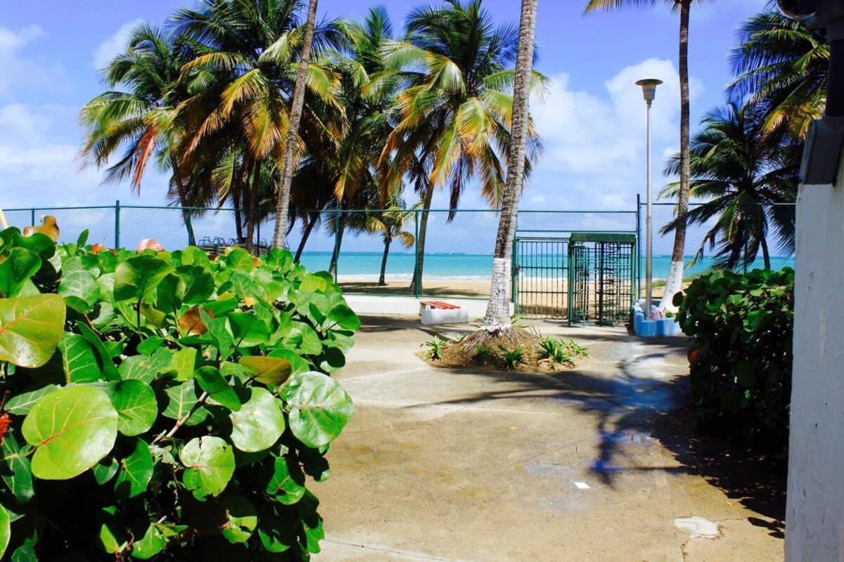2Br Gem Ocean Front Building Isla Verde Beach Сан-Хуан Экстерьер фото